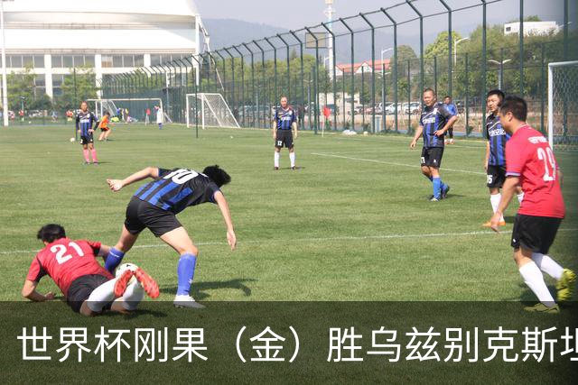 世界杯刚果（金）胜乌兹别克斯坦 韩国无缘32强