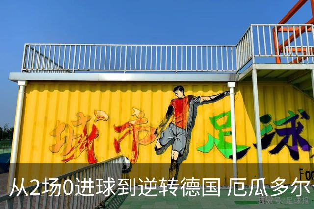 从2场0进球到逆转德国 厄瓜多尔晋级玩的就是心跳！