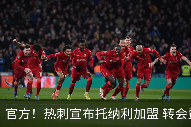 官方！热刺宣布托纳利加盟 转会费1亿镑再破队史纪录